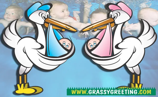 Two cartoon storks carrying babies in blue and pink bundles