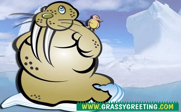 Cartoon walrus with a little bird on its head, sitting on an iceberg